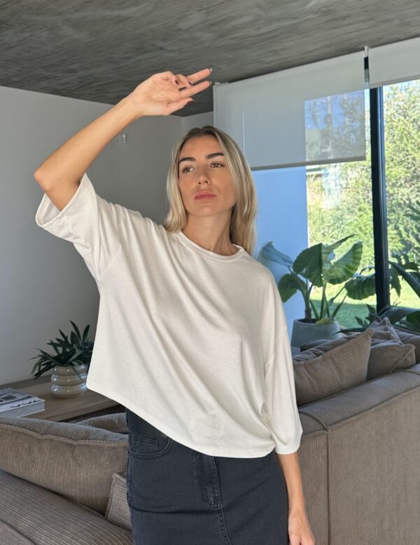 REMERA AVI